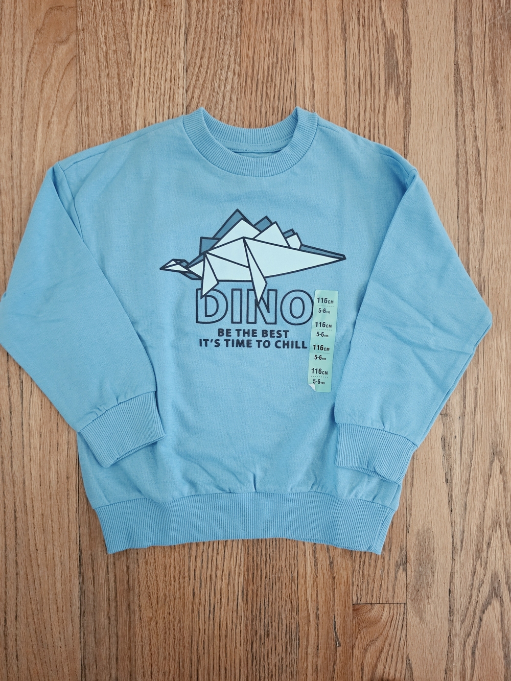 NEW! Boys Light Teal Dino Graphic Crew Sweatshirt Size 5-6